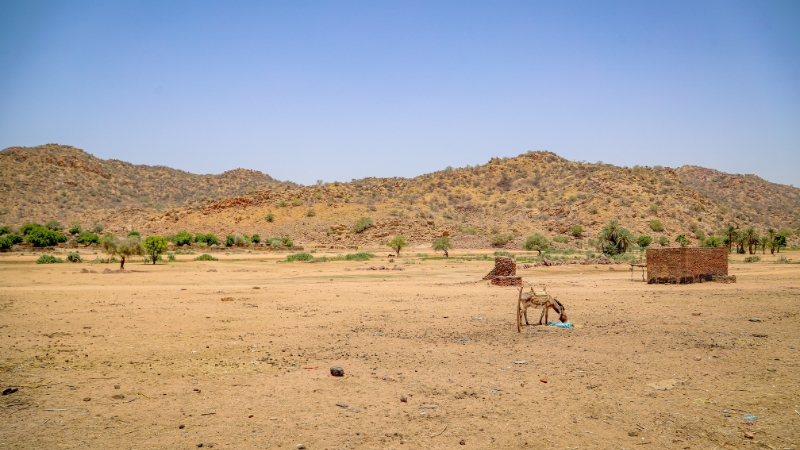 Die enormen menschlichen Kosten des Klimawandels Trockene Landschaft im Tschad
