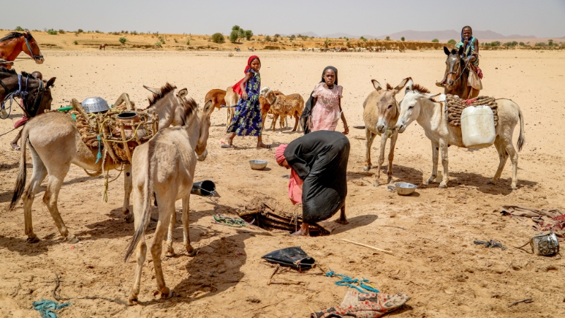 Klimawandel trifft vorwiegend Mädchen und Frauen Mädchen bei einer Wasserstelle, Tschad