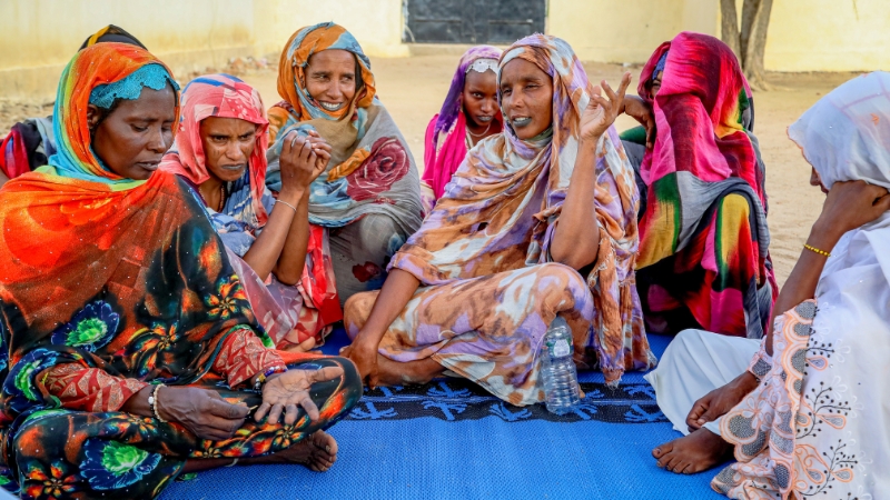 Internationale Zusammenarbeit im Wandel Frauen bei einer Gemeinschaftsbefragung, Tschad